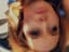 Profile picture of user: tornado19