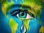 Profile picture of user: oracle_333