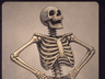 Profile picture of user: thevoiceofefola