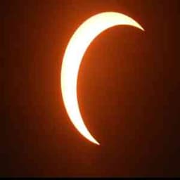 Profile picture of user: lifeandlove