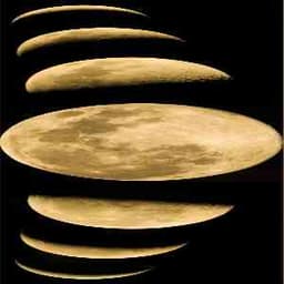 Profile picture of user: moonlover_ofnight_98