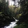 Profile picture of user: natur_eocean