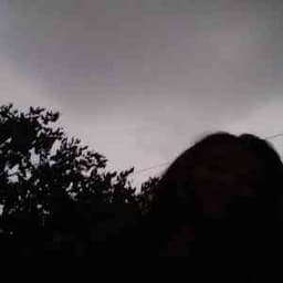 Profile picture of user: musesofrain