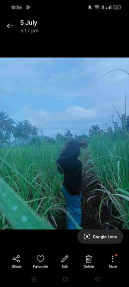 Profile picture of user: manasa_sidnal