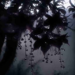 Profile picture of user: astrid_springs