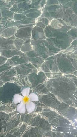 Profile picture of user: tranquil_sun