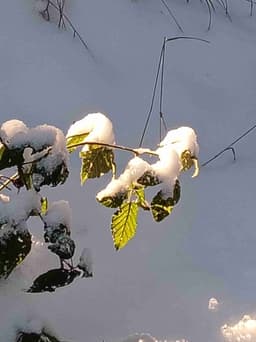 Profile picture of user: blupki