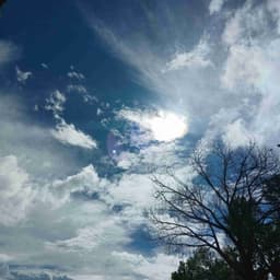 Profile picture of user: sannnnnnda