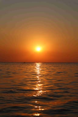 Profile picture of user: ambeewrites