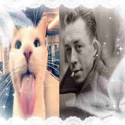 Profile picture of user: ehnkox3_