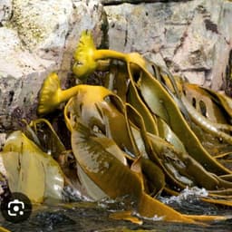 Profile picture of user: k3333