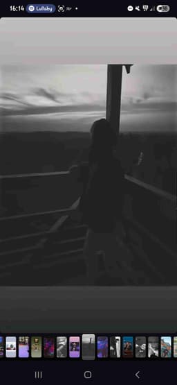 Profile picture of user: marcus_m