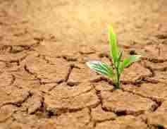 Profile picture of user: kabuswesignature