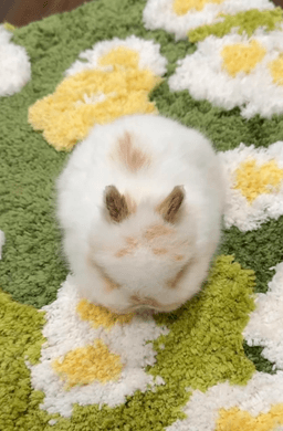 Profile picture of user: milaharley