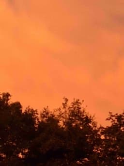 Profile picture of user: lorine005