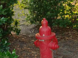 Profile picture of user: random_poet