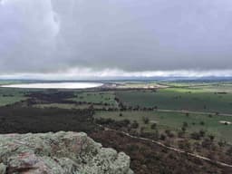 Profile picture of user: beebridges