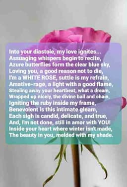 Profile picture of user: lovebelow84