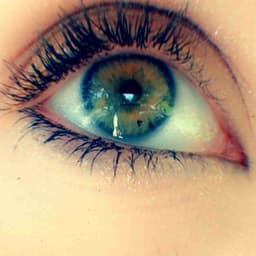 Profile picture of user: messyjessy