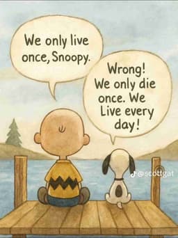 Profile picture of user: emotions