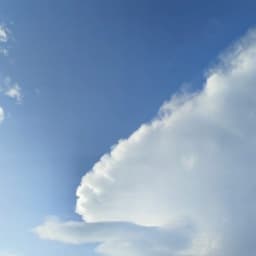 Profile picture of user: ozge_ztrk