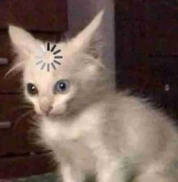 Profile picture of user: mercy