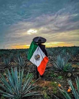 Profile picture of user: dark_and_light