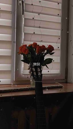 Profile picture of user: betweenthelines