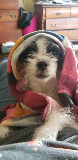 Profile picture of user: just_another_writer